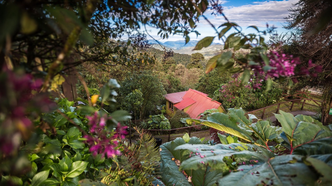 Photo of Outdoor in Copey