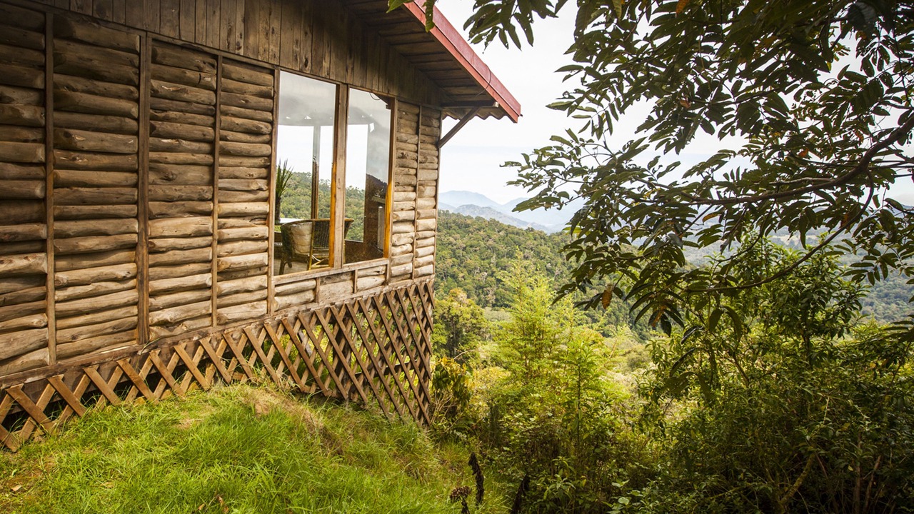 Photo of Outdoor in Copey