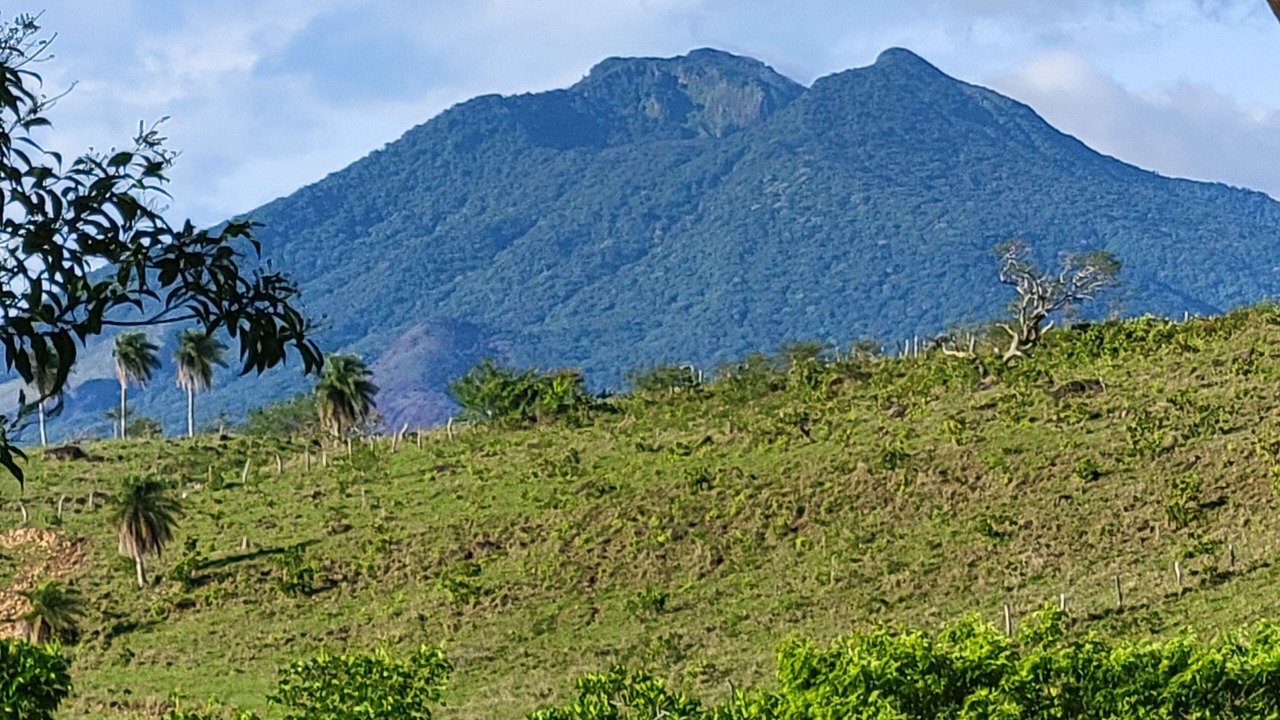 Photo of Others in Mogote de Bagaces
