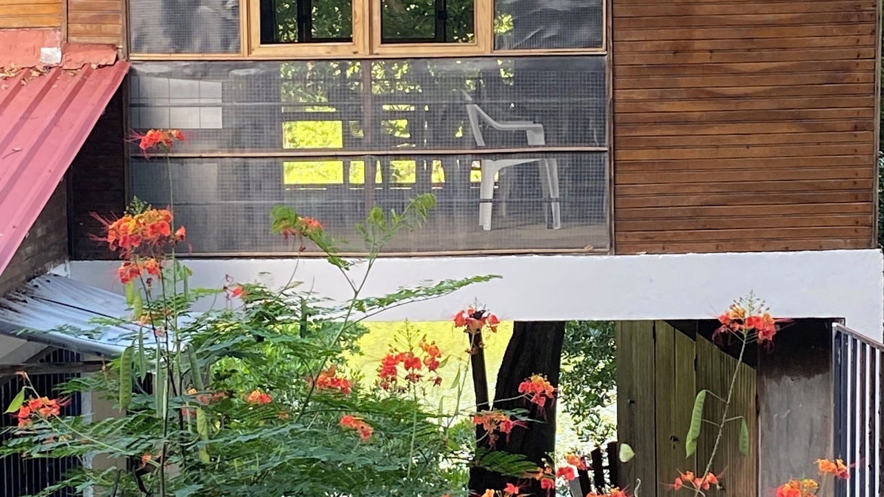 Photo of Patio Balcony in Cuajiniquil