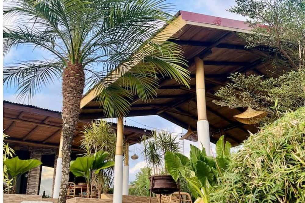 Photo of Outdoor in San Miguel