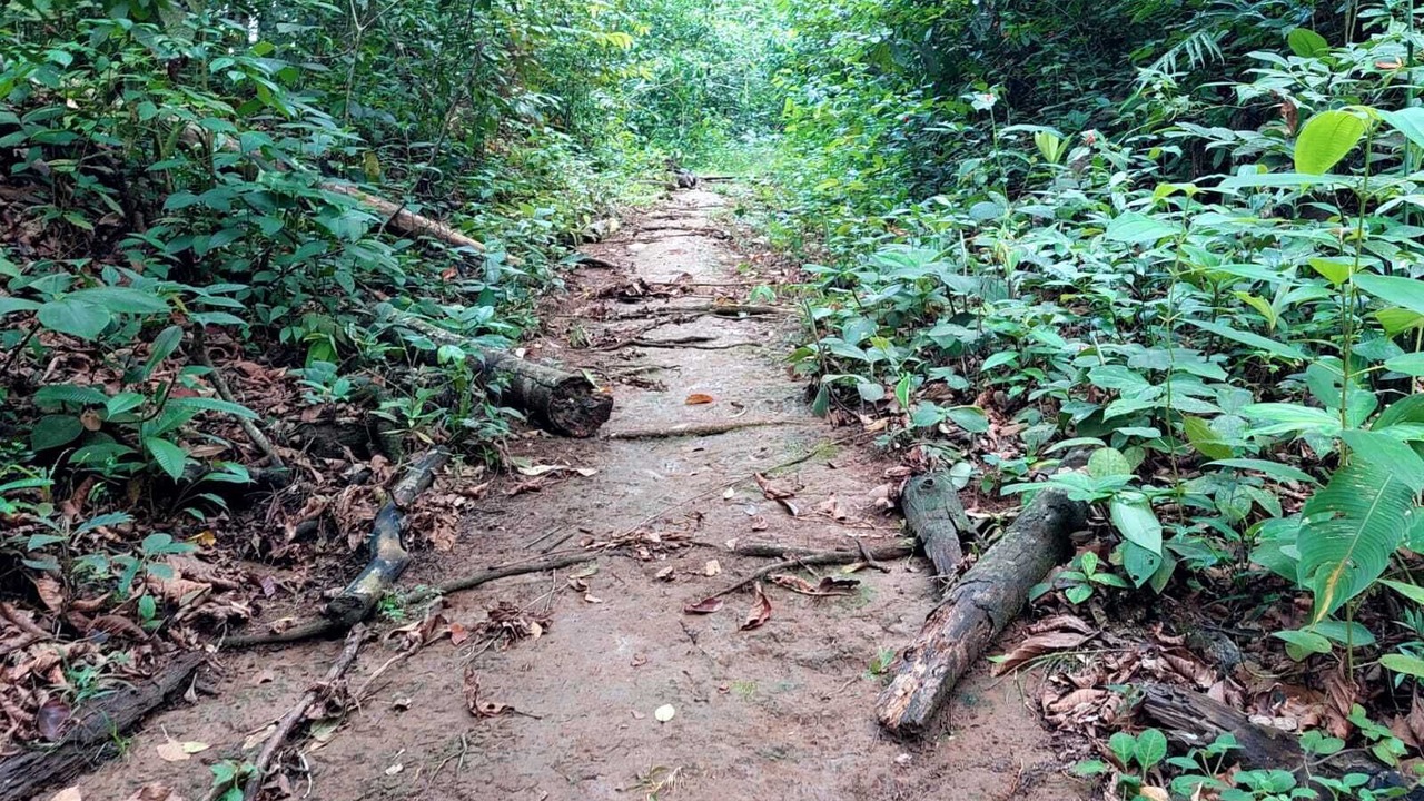 Photo of Outdoor in Chilamate