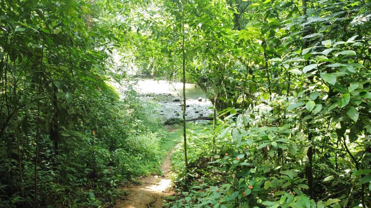Photo of Outdoor in Chilamate
