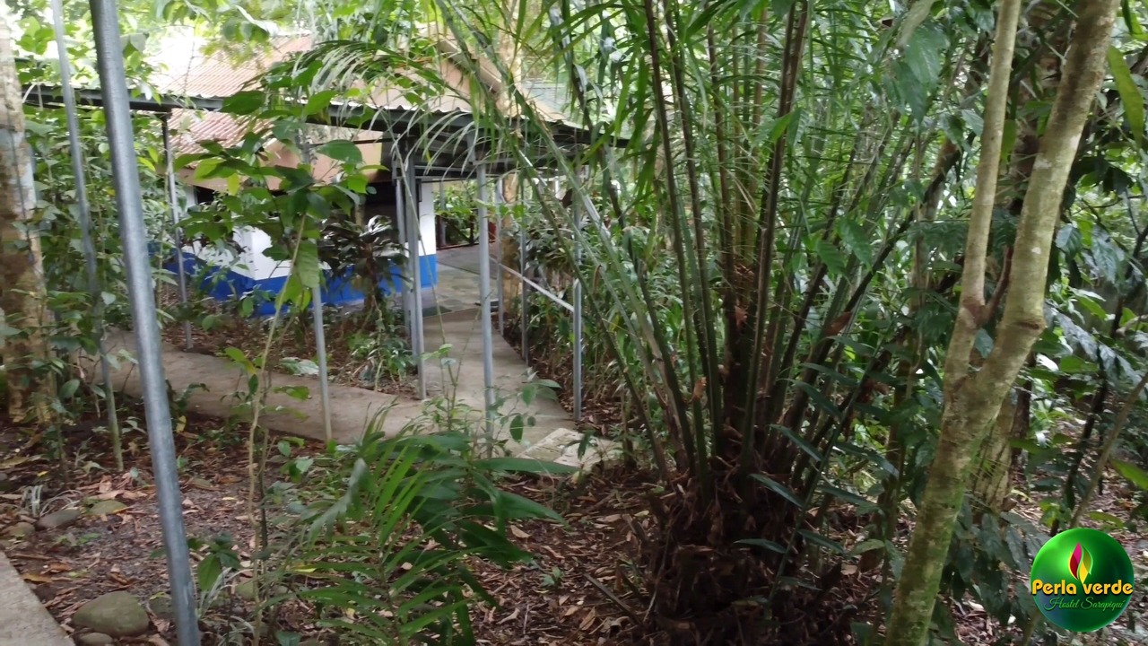 Photo of Patio Balcony in Chilamate