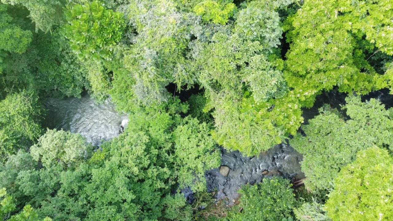 Photo of Outdoor in Chilamate