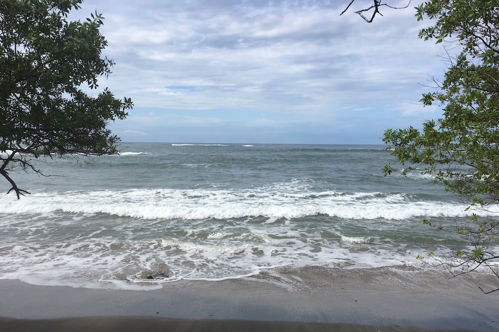Photo of Others in Playa Negra