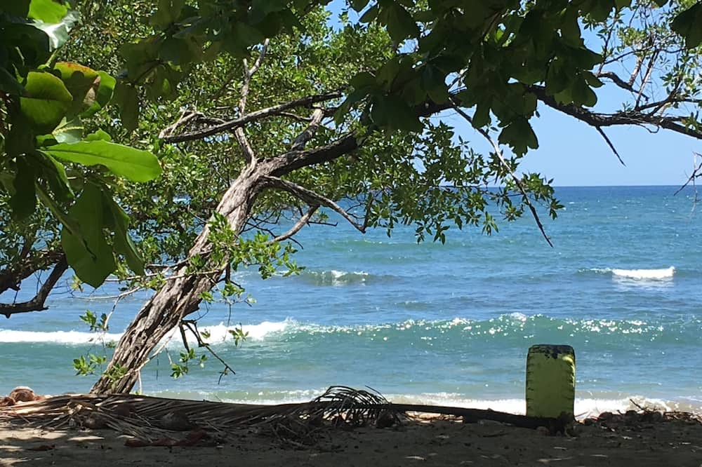 Photo of Others in Playa Negra