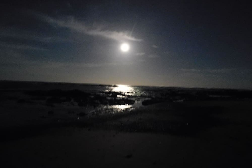 Photo of Others in Playa Negra