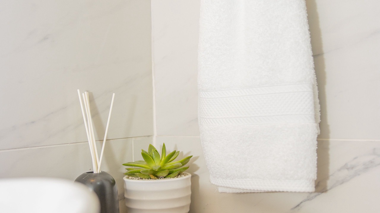 Photo of Bathroom in Pavas