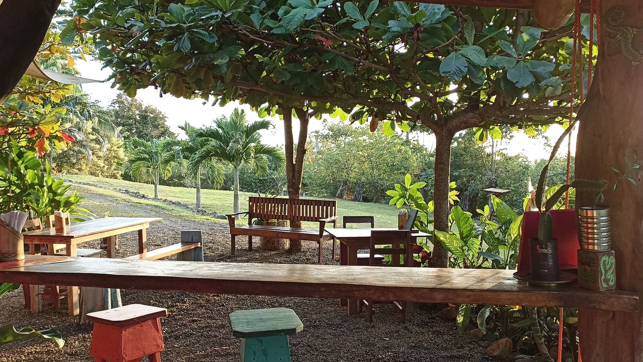 Photo of Patio Balcony in San Francisco de Coyote