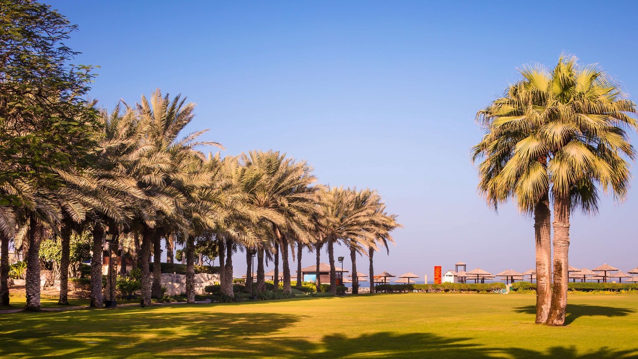 Photo of Outdoor in Beach & Coast