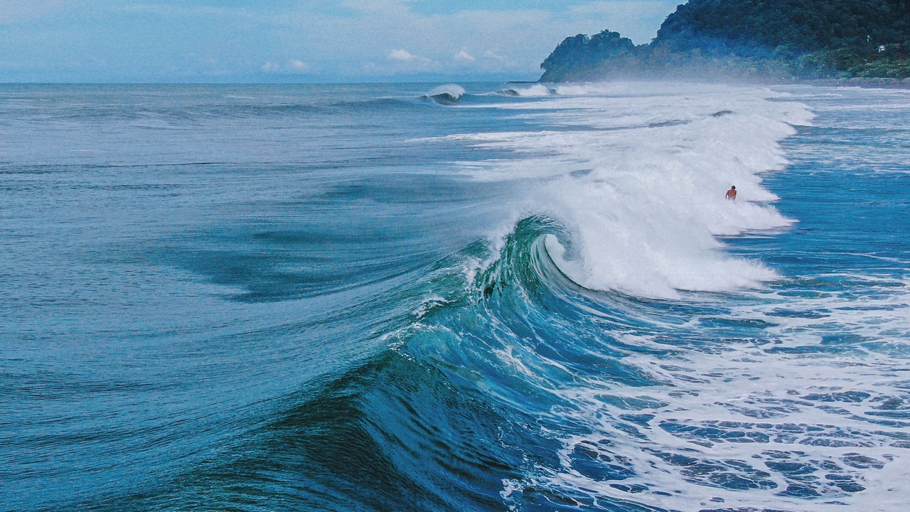 Photo of Others in Jaco