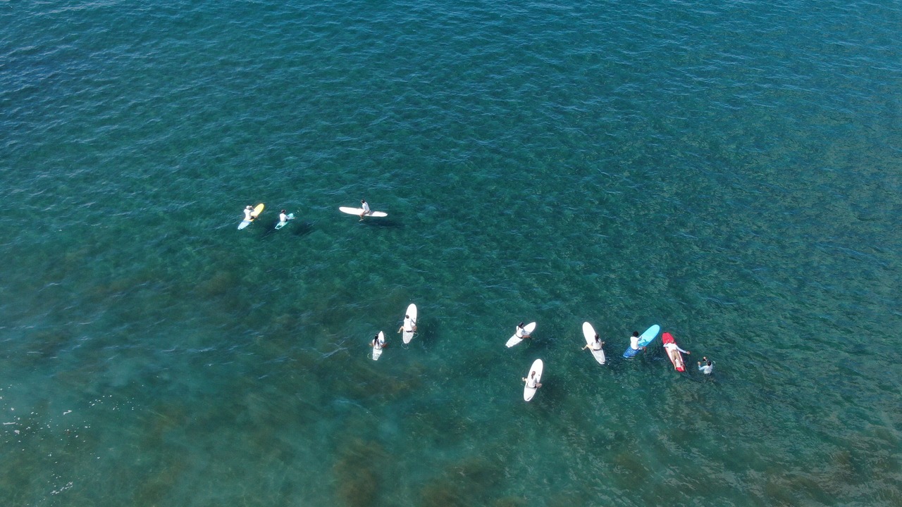 Photo of Others in Jaco