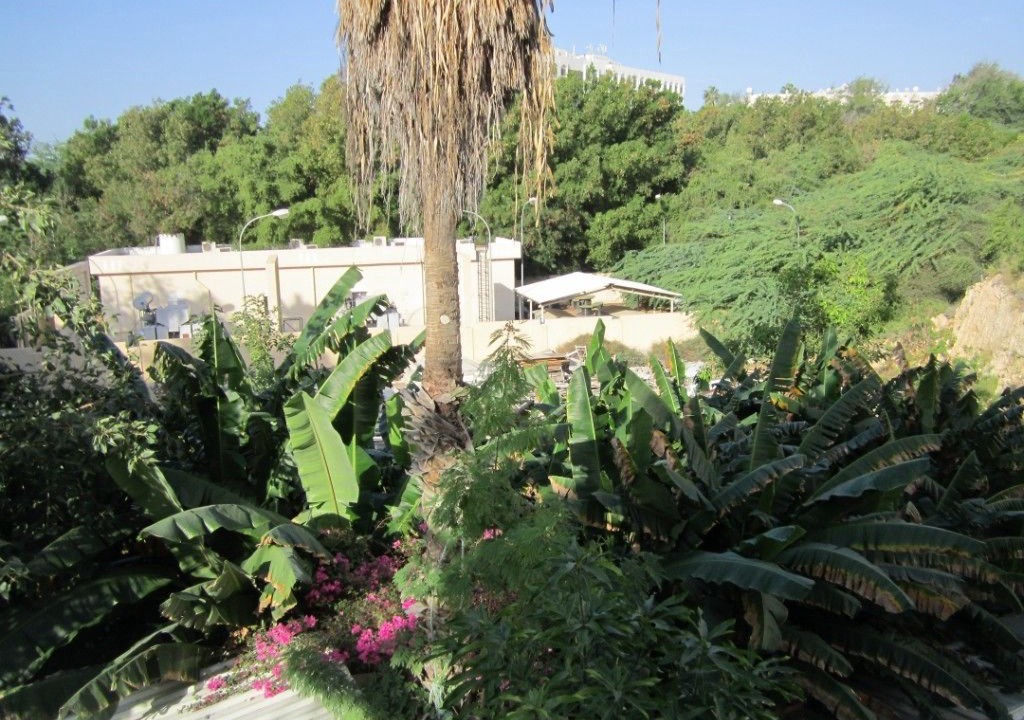 Photo of Outdoor in Qurm