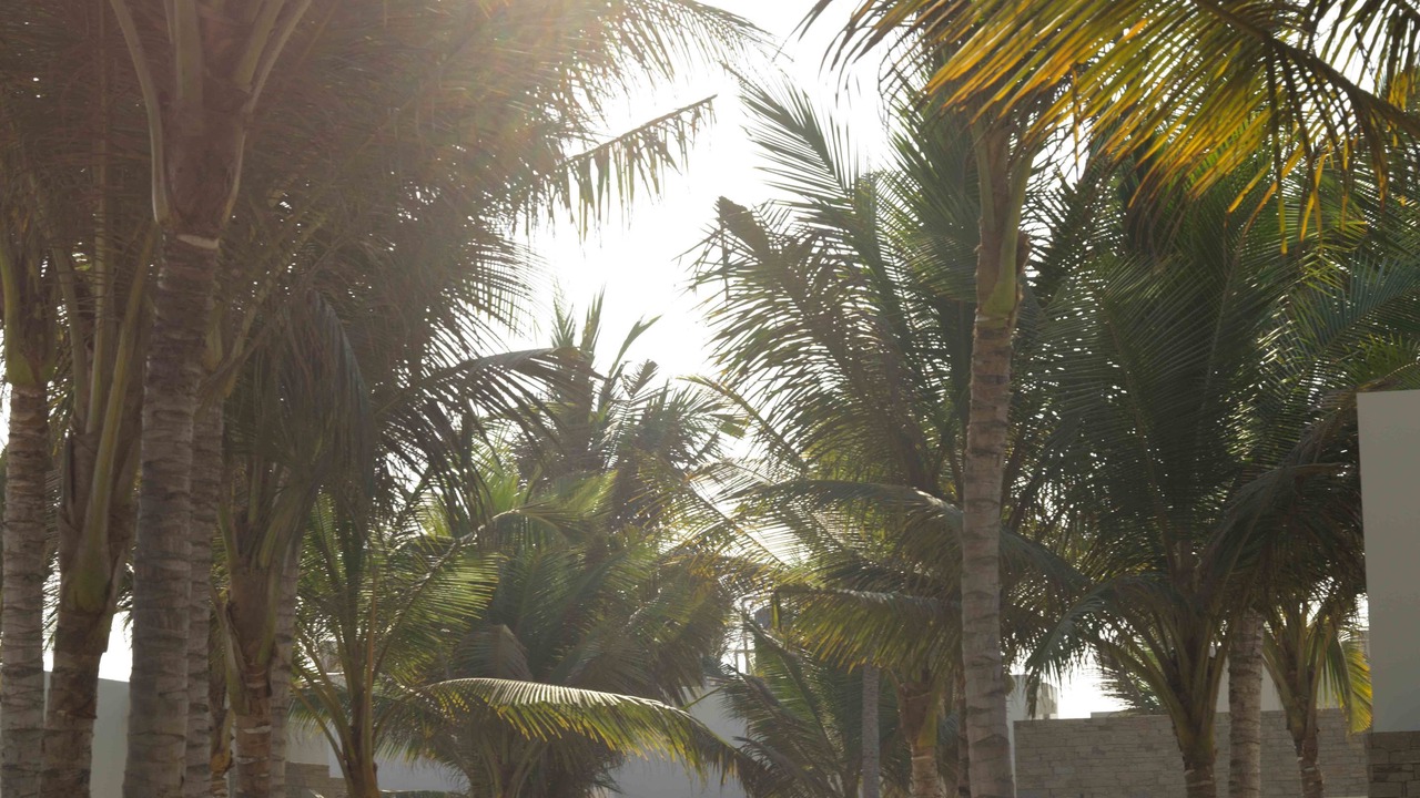 Photo of Bedroom in Salalah
