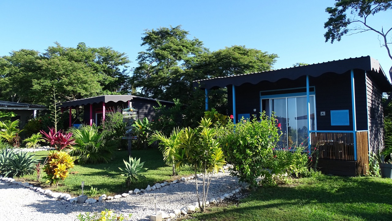Photo of Others in Javilla