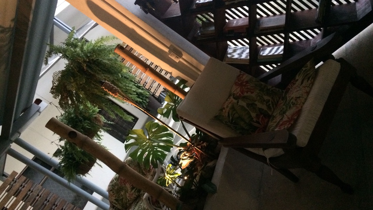 Photo of Others in Cacique