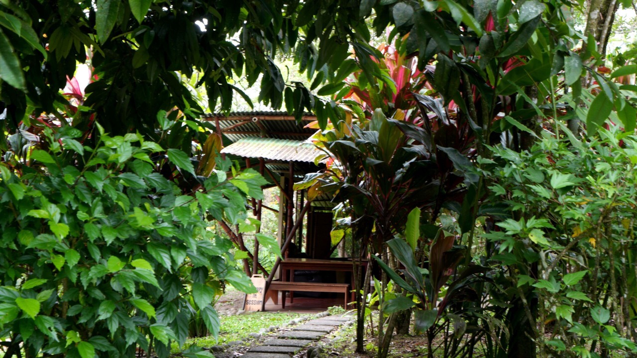 Photo of Outdoor in El Castillo
