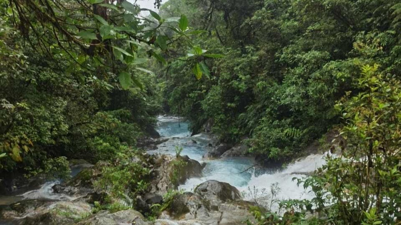 Photo of Outdoor in Bajos del Toro