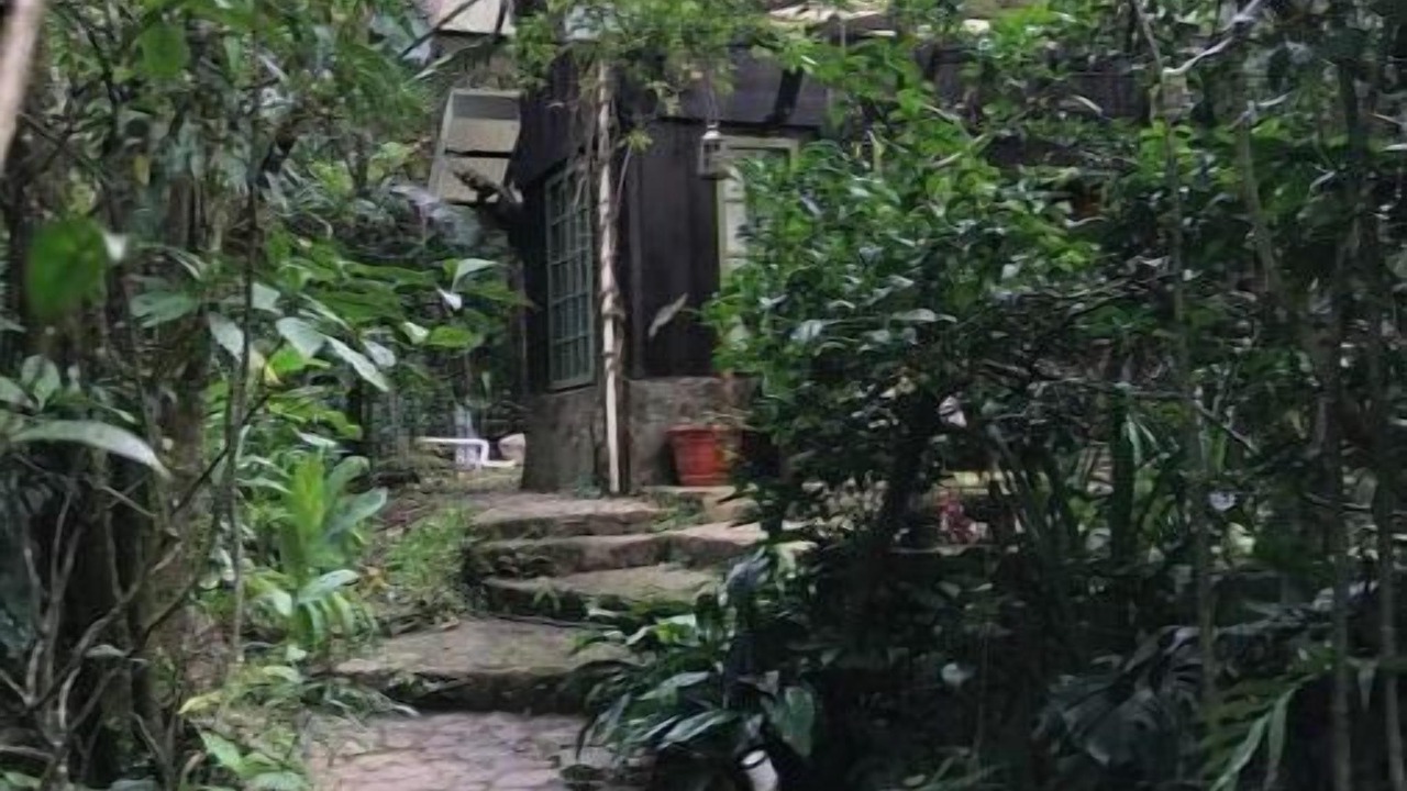 Photo of Outdoor in Monteverde
