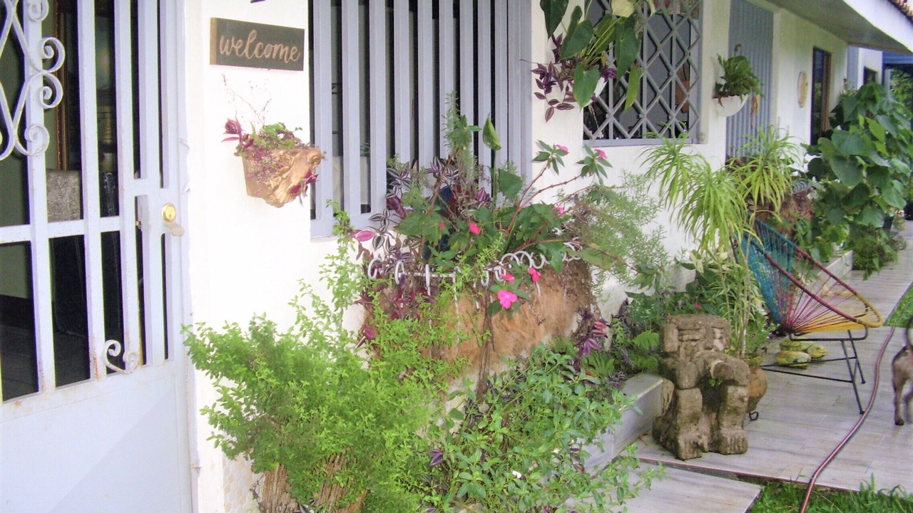 Photo of Outdoor in Guapiles
