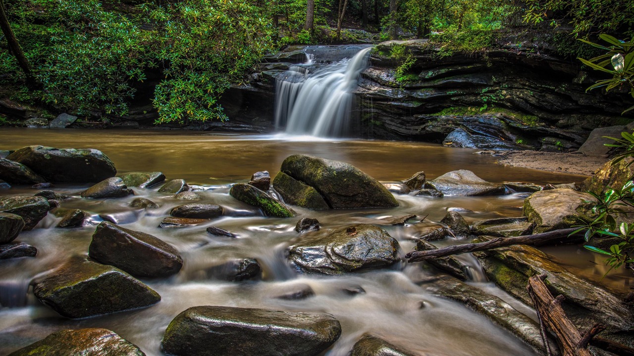 Photo of Outdoor in Pickens