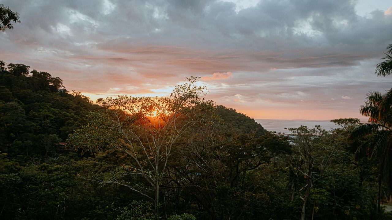 Photo of Others in Pajaro Azul