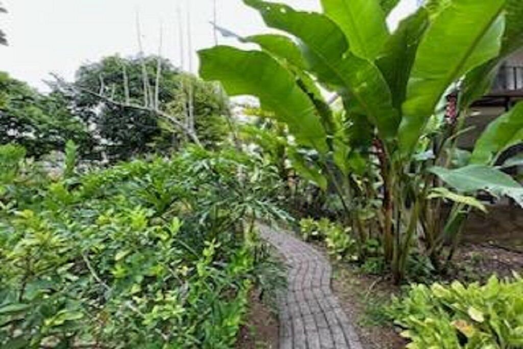 Photo of Outdoor in Quepos