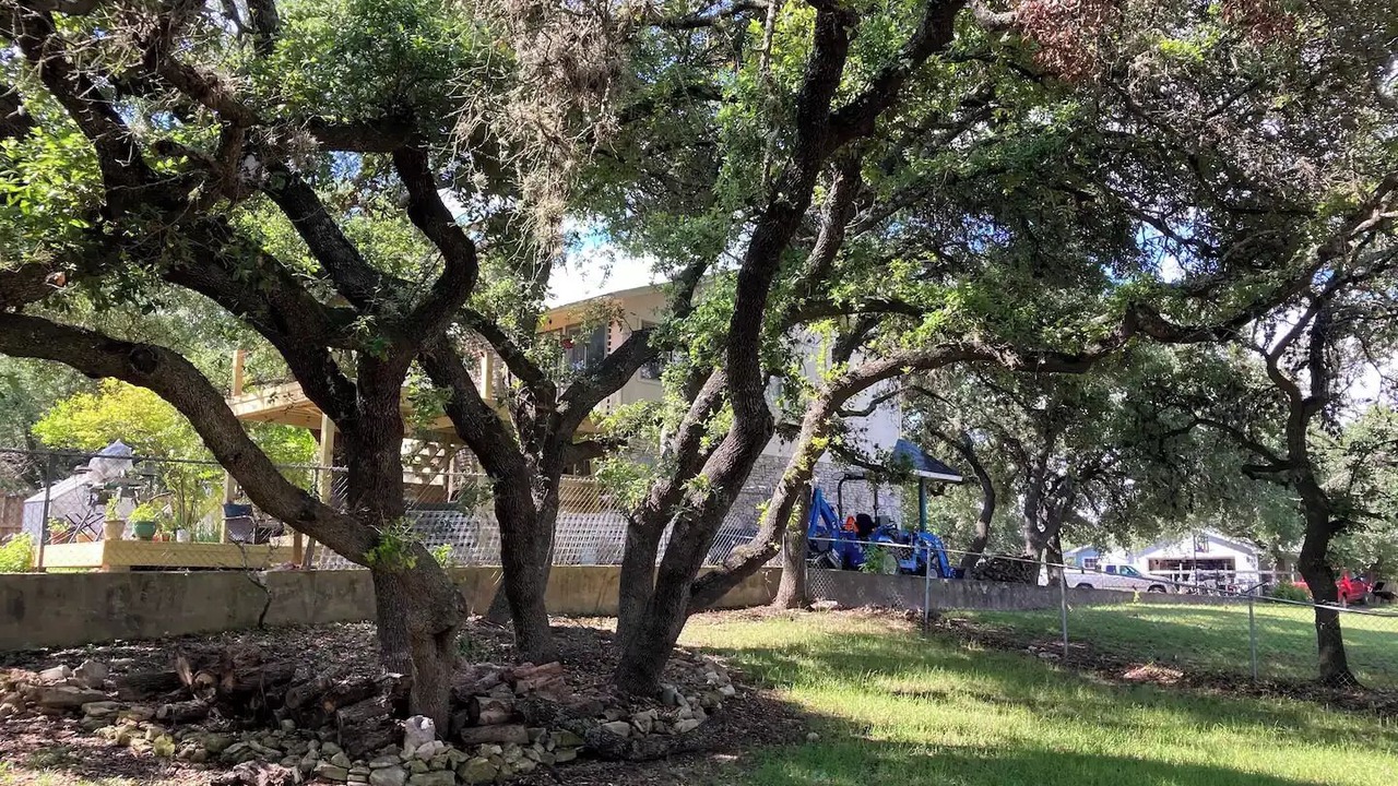 Photo of Outdoor in Canyon Lake
