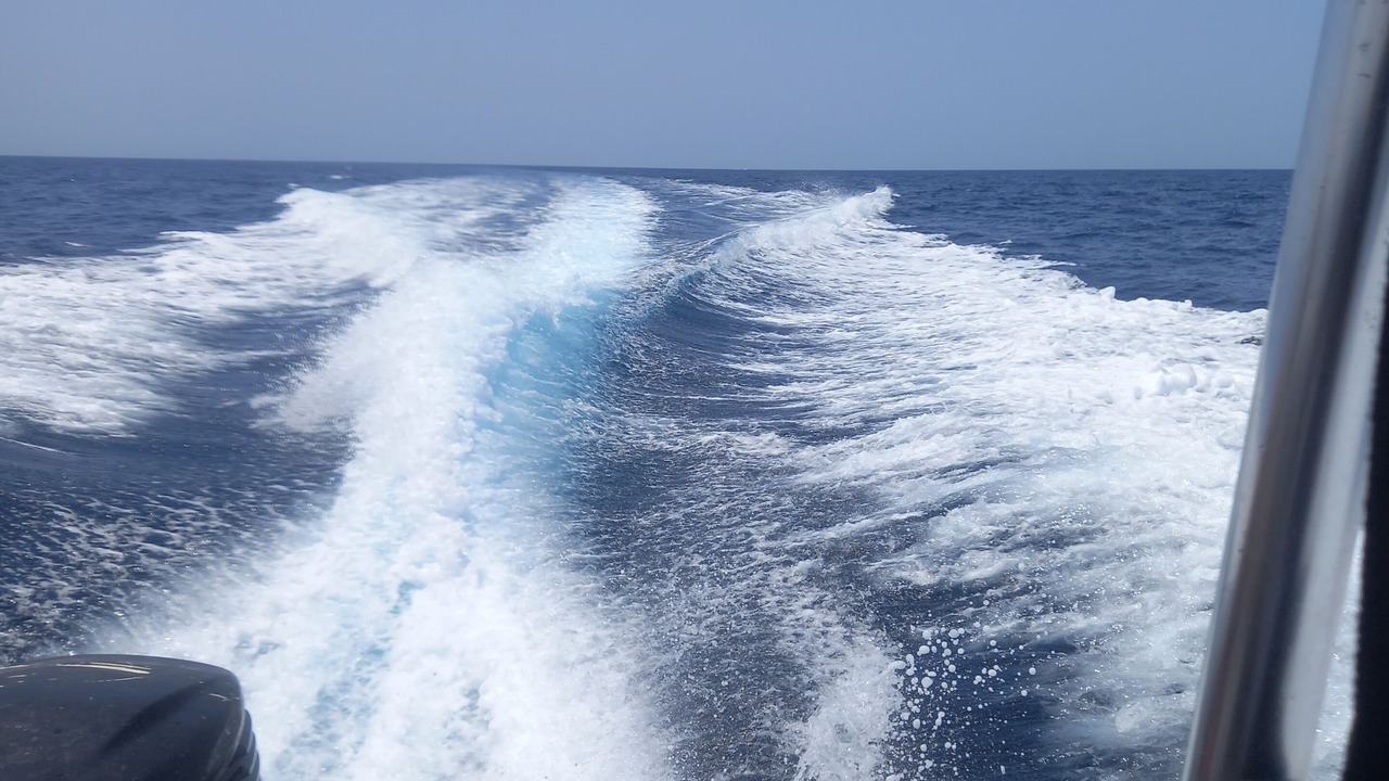 Photo of Others in Salalah