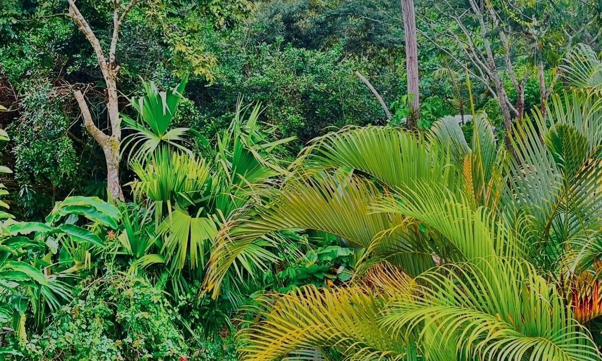 Photo of Outdoor in Rivas