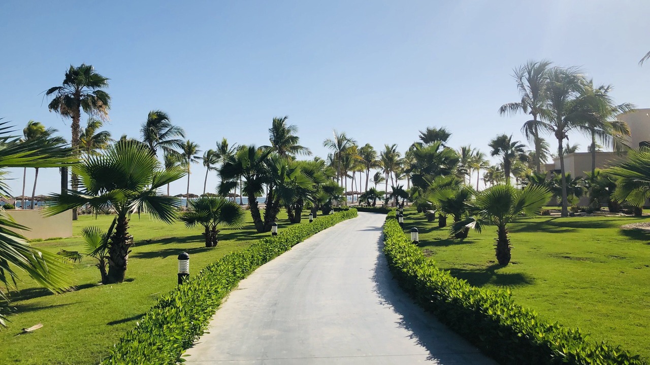 Photo of Outdoor in Salalah