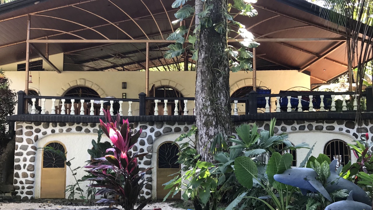 Photo of Outdoor in Playa Tortuga
