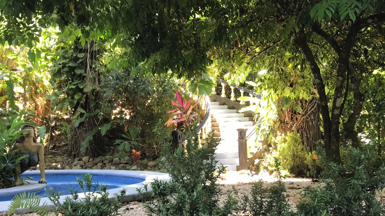 Photo of Outdoor in Playa Tortuga