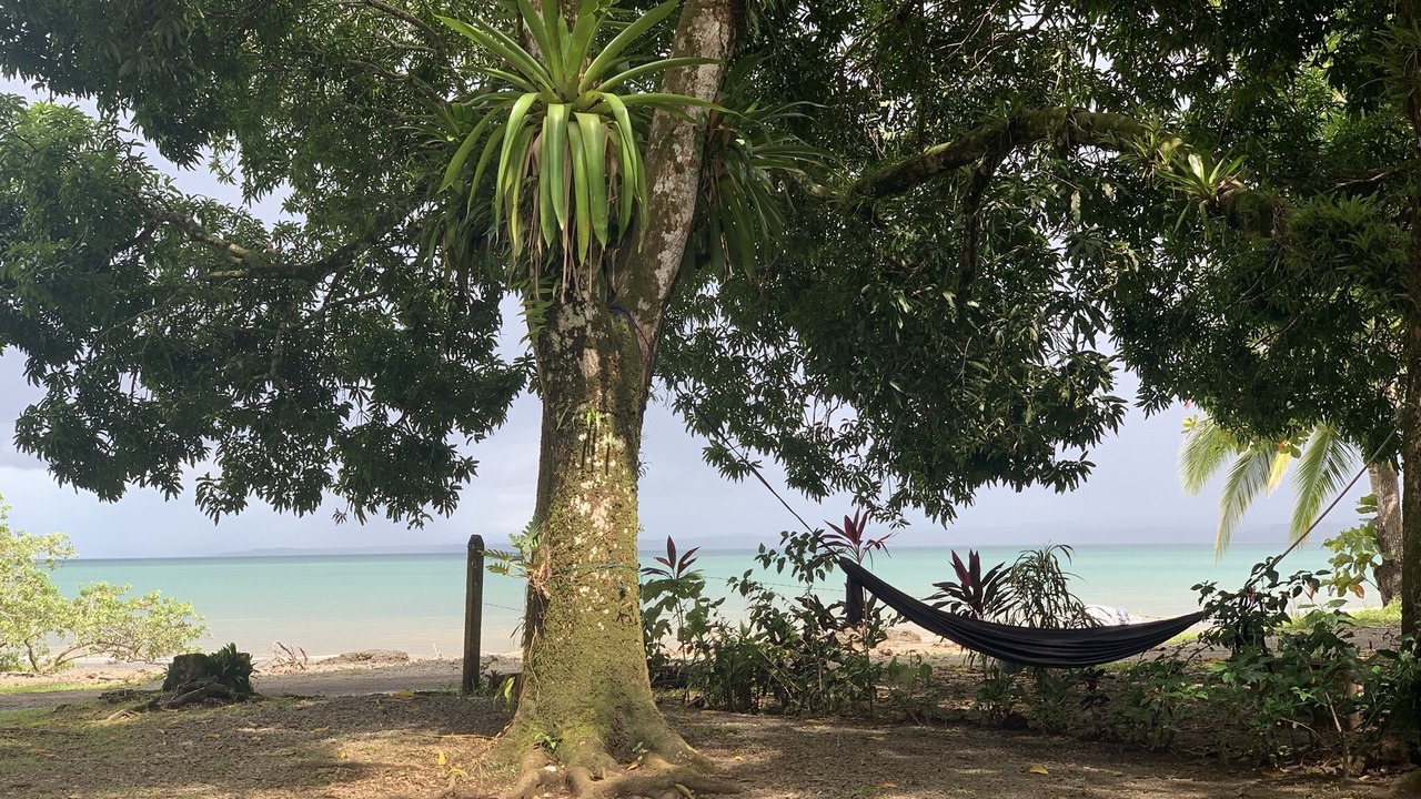 Photo of Outdoor in Palma