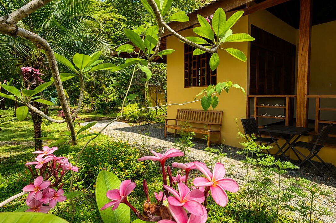 Photo of Outdoor in Puerto Viejo de Talamanca