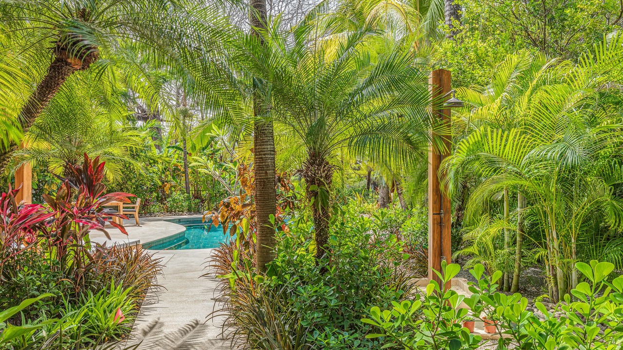 Photo of Outdoor in Playa Guiones