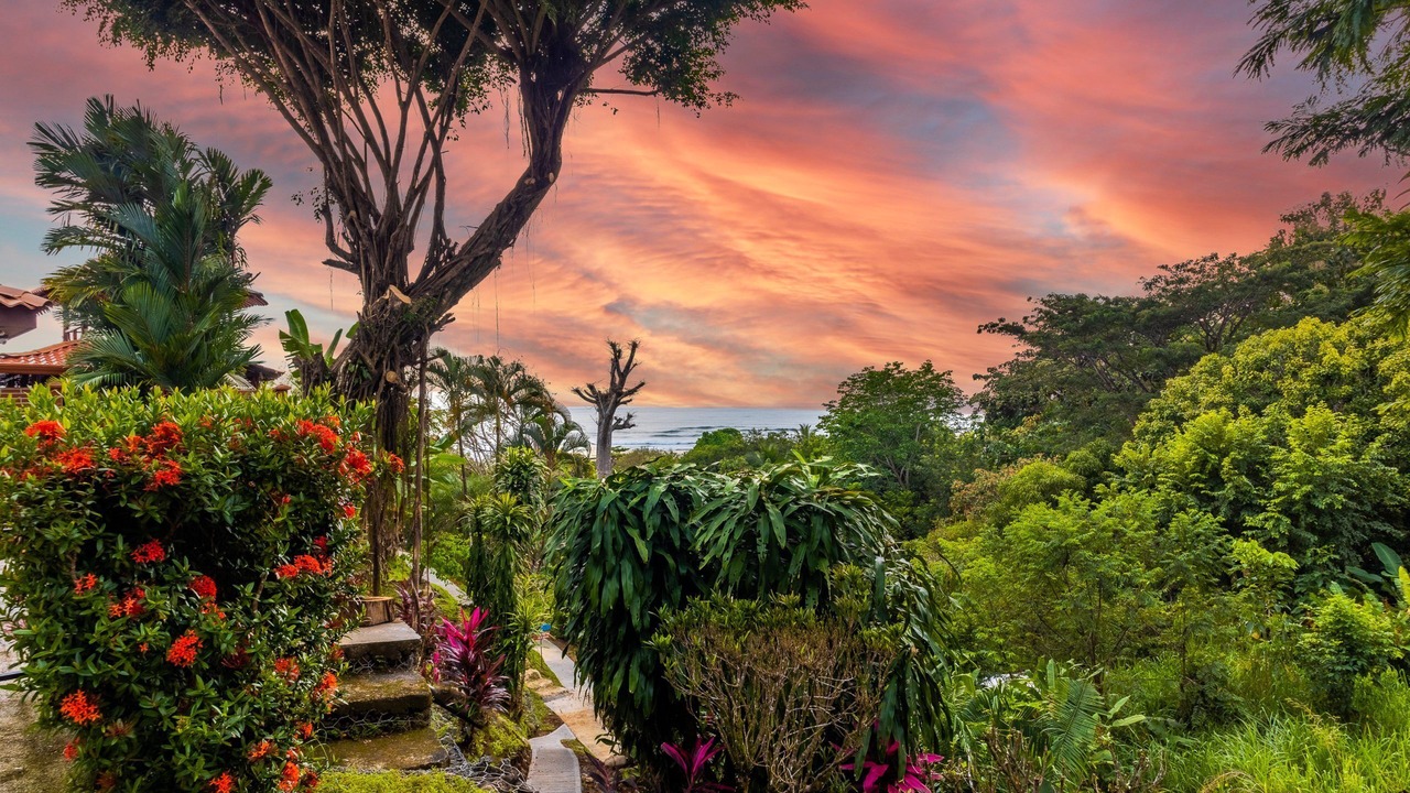 Photo of Outdoor in Esterillos