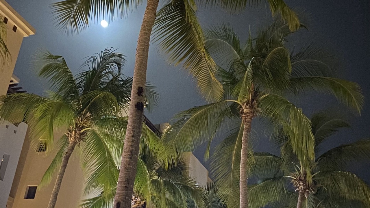 Photo of Outdoor in Salalah