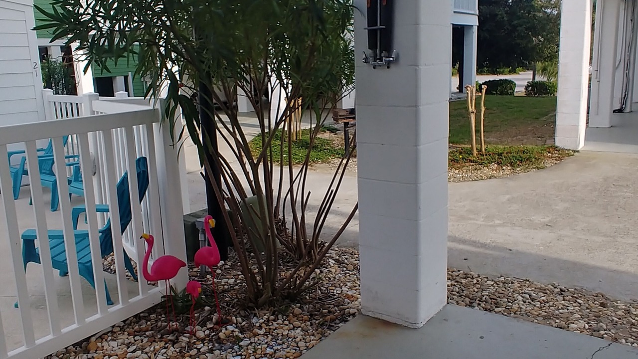 Photo of Others in Myrtle Beach