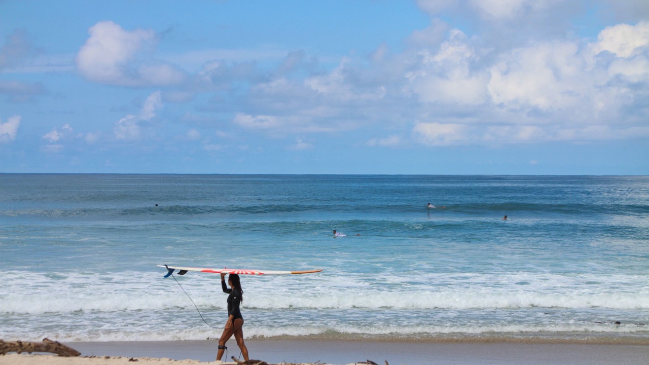 Photo of Others in Playa Santa Teresa