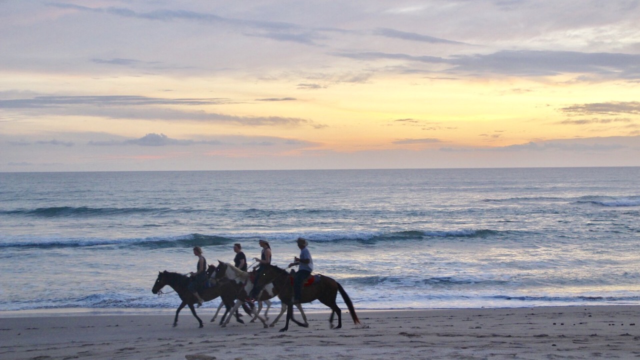 Photo of Others in Playa Santa Teresa