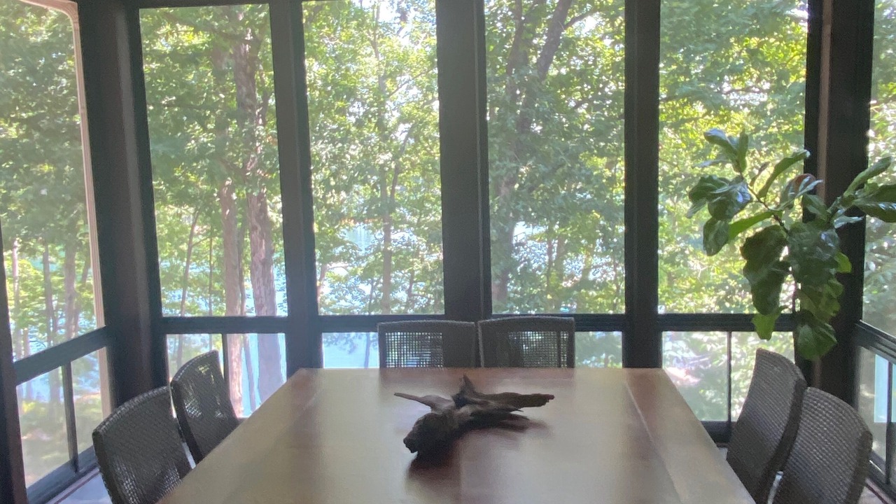 Photo of Outdoor in Shelter Cove