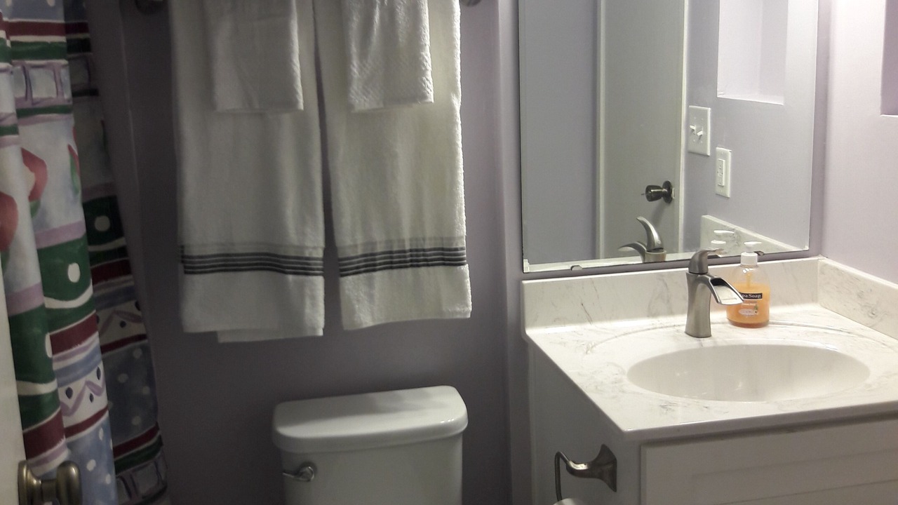 Photo of Bathroom in Socastee