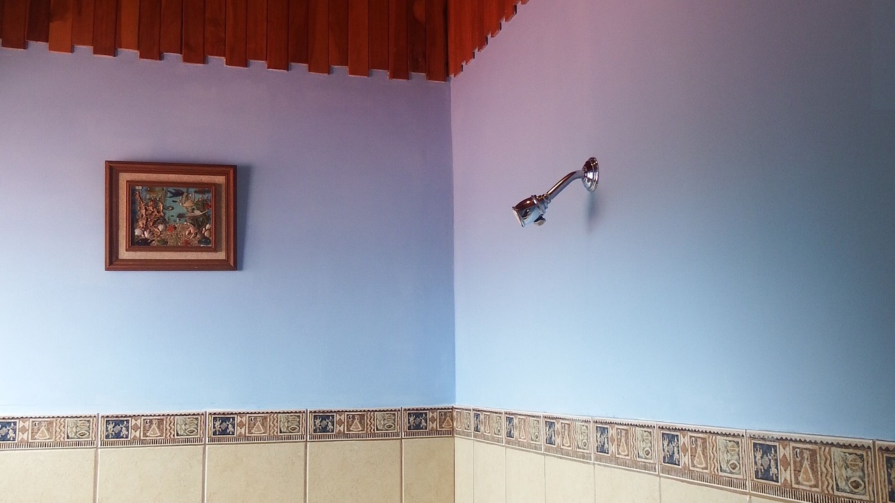 Photo of Bathroom in La Guaria
