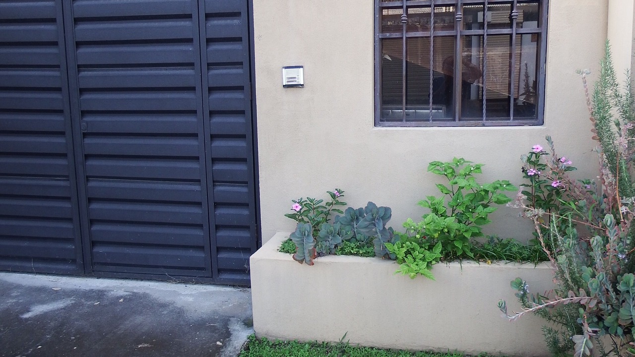 Photo of Outdoor in La Guaria