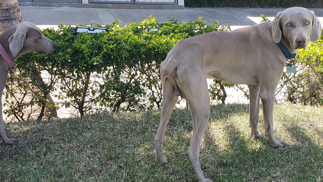 Photo of Outdoor in Escazu