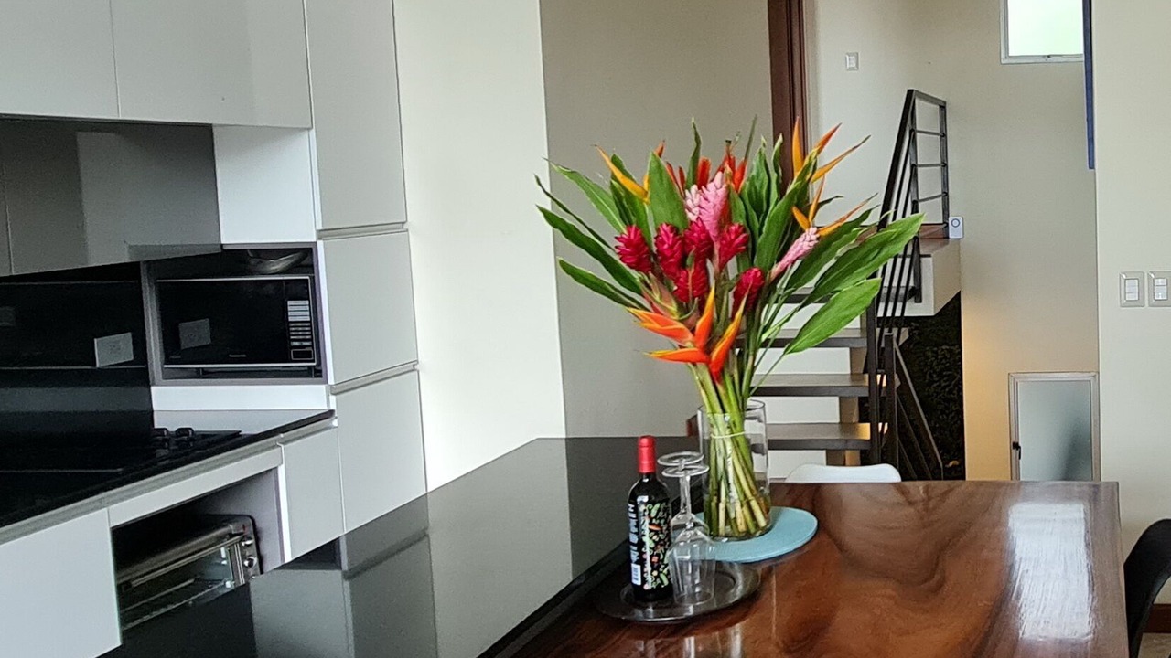 Photo of Kitchen in Escazu