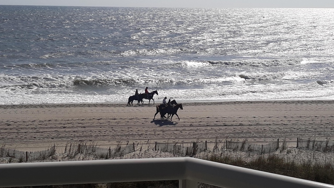 Photo of Outdoor in Myrtle Beach