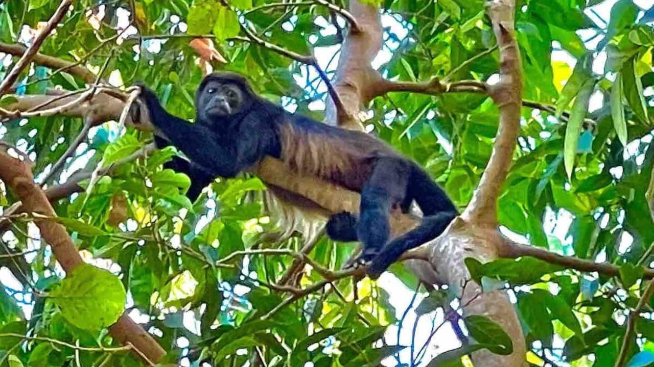 Photo of Outdoor in Playa Ocotal